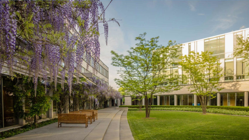 Schulich School of Business – York University