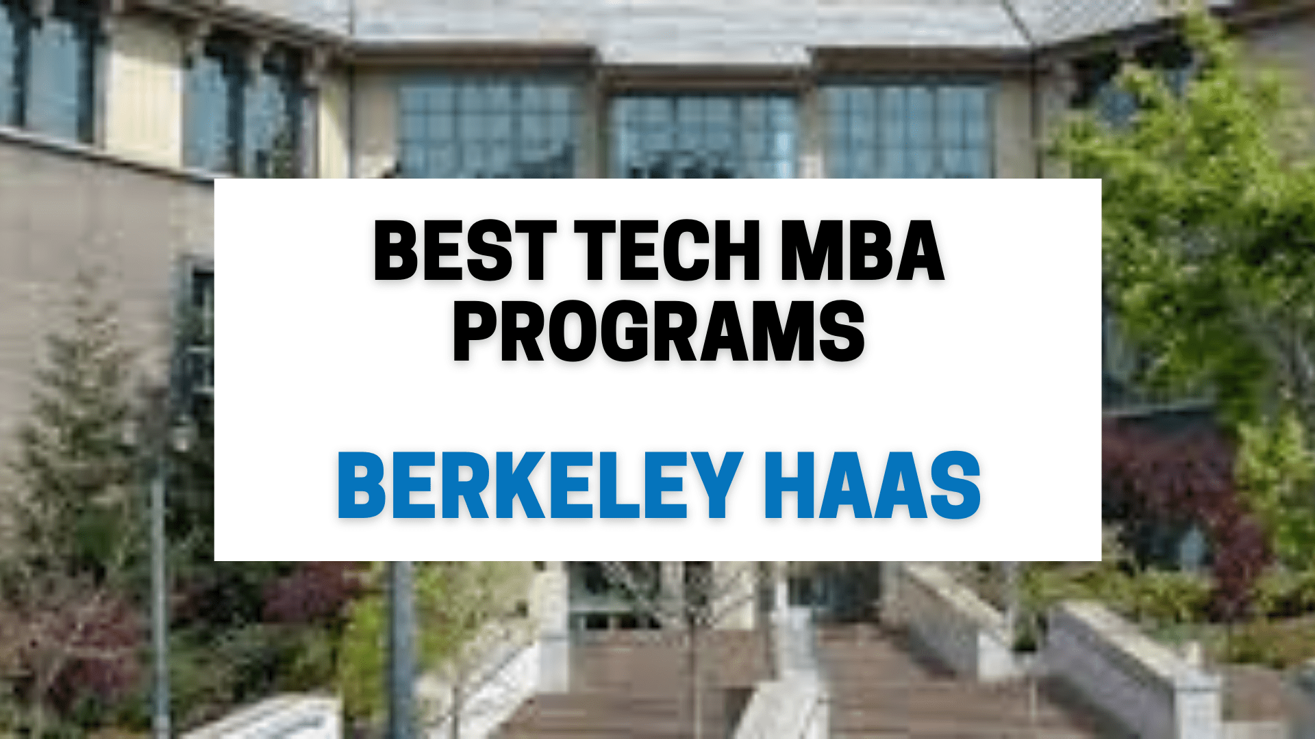 Top MBA institutes in the world