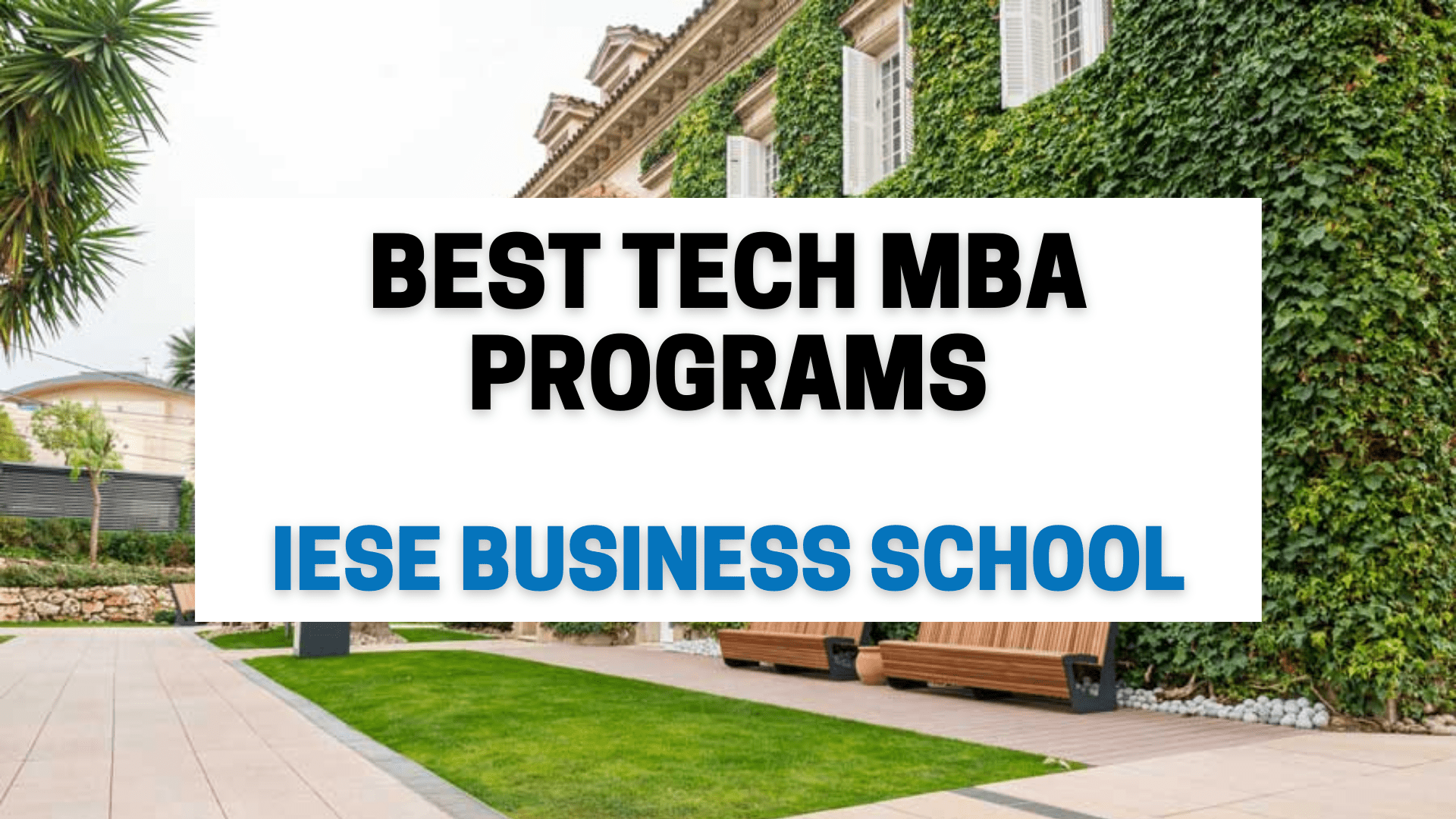 Top MBA institutes in the world