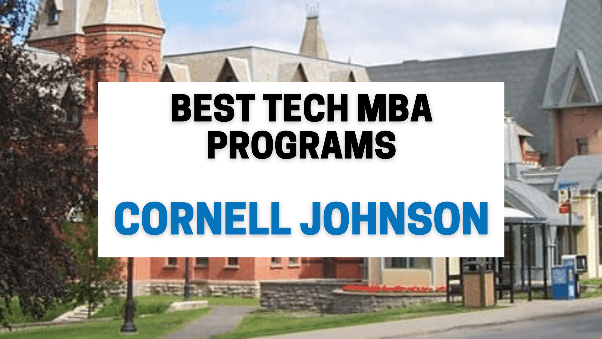 Top MBA institutes in the world