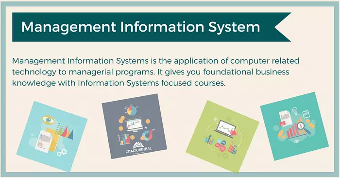 What is an MS in Management Information System